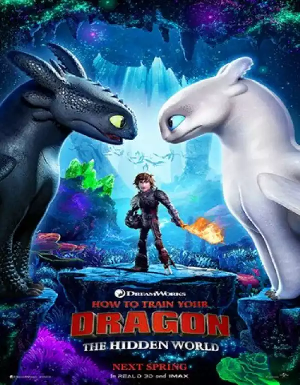 How to Train Your Dragon : 3 - The Hidden World (2019)